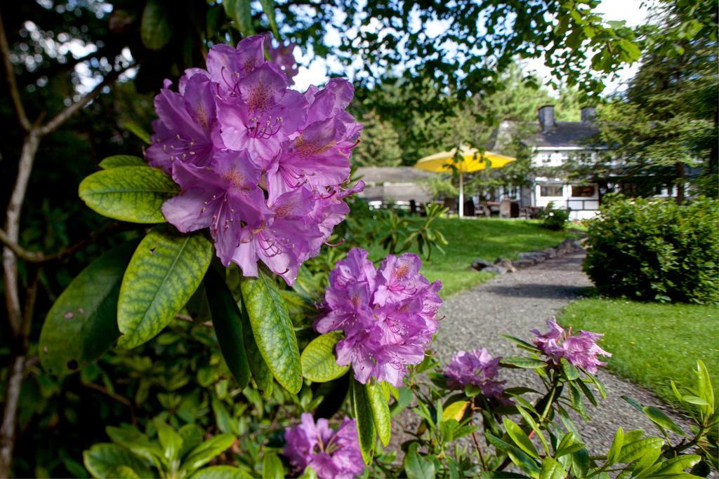 Romantik Hotel Stryckhaus Willingen  Exterior photo